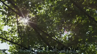 انشودة غرباء بدون موسيقى 