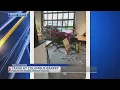 Man struck when car crashes into Fox in the Snow Cafe