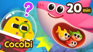 ¡Hay un Bebé en la Pancita de Mamá Tiburón!😮 | Canciones Infantiles | Cocobi