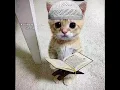 Download Lagu Kebesaran mu ya allah (Lirik)