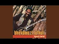 Download Lagu Shwele