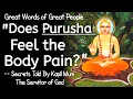 If Purusha Only Watches, Who Feels the Pain? Secrets told by KAPILA MUNI \u0026 Saanak