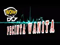 Download Lagu DJ Pecinta Wanita full bass