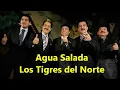 Agua Salada los tigres del norte