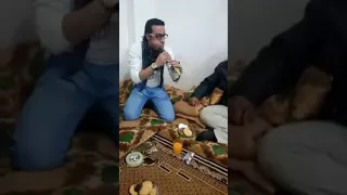 مجوز من هون ودز دندنها