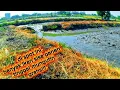 Download Lagu perburuan ikan sisa panen tambak bulak WARU SIDOARJO
