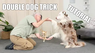 Splash and Tug's Double Dog Trick Tutorial
