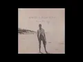Angus & Julia Stone - "Big Jet Plane"