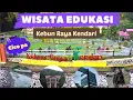 Download Lagu JALAN-JALAN SORE DI KEBUN RAYA KENDARI - Camping Ground, Taman Anggrek,  Dan Taman Bunga Chapter I