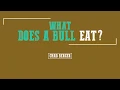 Chad Berger What Does A Bucking Bull Eat