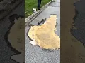 Oil eater Cleaner Degreaser