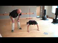 Testing Process for a Deputy Sheriff Recruit or Deputy Sheriff position