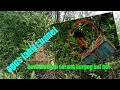 Download Lagu Jebak ciblek | pikat ciblek | detik detik  mikat ciblek di serang burung bubut
