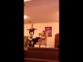 ECN Emily Elkins