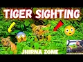 Download Lagu TIGER HEAD-ON SIGHTING 😳 IN JHIRNA ZONE SAFARI FULL ADVENTURE JOURNEY ⚡ #yuvrajjimcorbett 