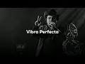 Vibra Perfecta - Julion Alvarez  // REGIONAL 2025 (LETRA/LYRICS)