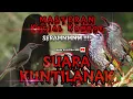 Download Lagu KECIAL KOMBOK BISA suara KUNTIIIIIII !!! // ini masterannya👆 free download !! Subscribe 🙏👇