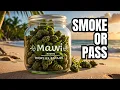 MAUI WOWIE STRAIN REVIEW SMOKE OR PASS