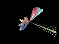 Slow Pulp - Idaho (Official Audio)