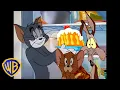 Download Lagu Tom \u0026 Jerry em Português 🇧🇷 | Brasil | Tom e Jerry e Wile E. Coyote na Diversão! | @WBKidsBrasil