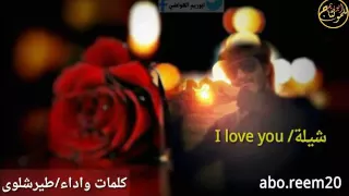 شيلات جميله كلمات واداء طير شلوي 