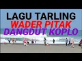 Download Lagu LAGU TARLING WADER PITAK DANGDUT KOPLO