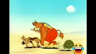 حالات واتس اب مضحكة افلام كرتون بسيط الجو كلش حار بالعراق  حالات واتس اب مضحكة افلام كرتون بسيط الجو كلش حار بالعراق