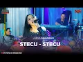 Download Lagu STECU STECU - Ajeng Maharani (Live AREVA MUSIC)