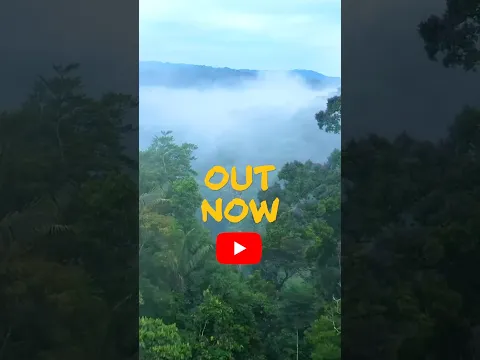 Mamazonia is calling 🌬️🌿 Calling us to listen, to reconnect with Mother Earth 🌎