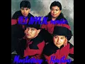 LOS PALOMINOS - Nunca Me Olvides