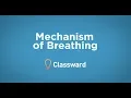 Mechanism of Breathing - EMTprep com