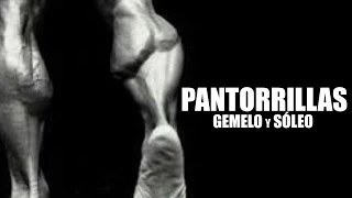 AUMENTAR PANTORRILLAS - ENTRENAMIENTO DE GEMELO Y SOLEO