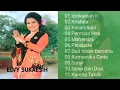Elvy Sukaesih - Izinkanlah II