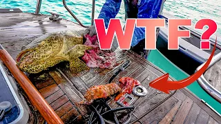 We found something inside this fish you won’t believe…