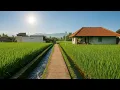 Download Lagu Bikin Takjub❗Air Deras Mengalir di Kampung Paling Bersih Di Jawabarat