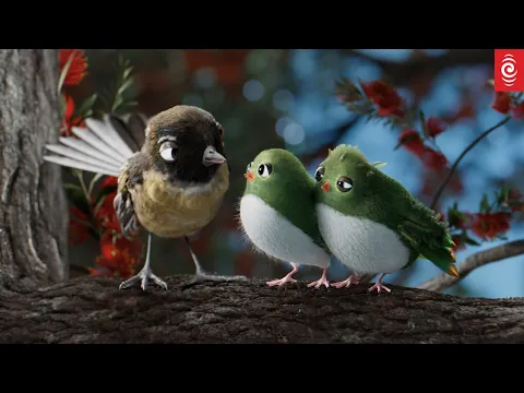 Bird's Eye View | Season 2 | Trailer | RNZ
