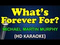 Download Lagu WHAT'S FOREVER FOR - Michael Martin Murphy (HD Karaoke)