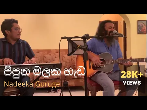 Download MP3 Pipunu Malaka (පිපුණු මලක) by Nadeeka Guruge