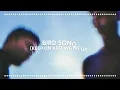 The Lagoons - Bird Song (Keep On Keeping Me Up) (Official Video)