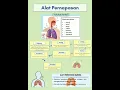 Download Lagu alat Pernapasan manusia kelas 5