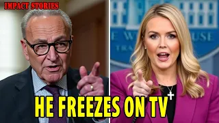 Chuck Schumer Freezes On TV Karoline Leavitt Reveals The File That Destroys Him 