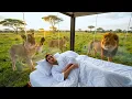 I Stayed in Wild Hotels