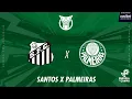 SANTOS X PALMEIRAS - 15/11/2025 - BRASILEIRÃO - AO VIVO