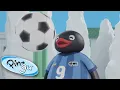Download Lagu Pingu Plays Football! @Pingu  | Pingu in the City | Cartoons for Kids
