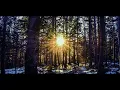 The National - About Today (Extended Version)