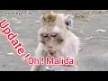 Download Lagu Oh! Malida !