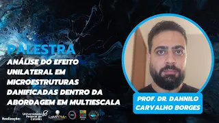 Análise do efeito unilateral em microestruturas danificadas dentro da abordagem em multiescala