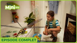 DINO DANA | EPISODE 2  | SAISON 4 | EN FRANCAIS