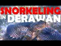 Download Lagu Wonderful Snorkeling in Derawan Island, Indonesia - including Fish ID