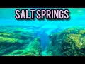 Salt Springs Florida A Hidden Gem in the Ocala National Forest